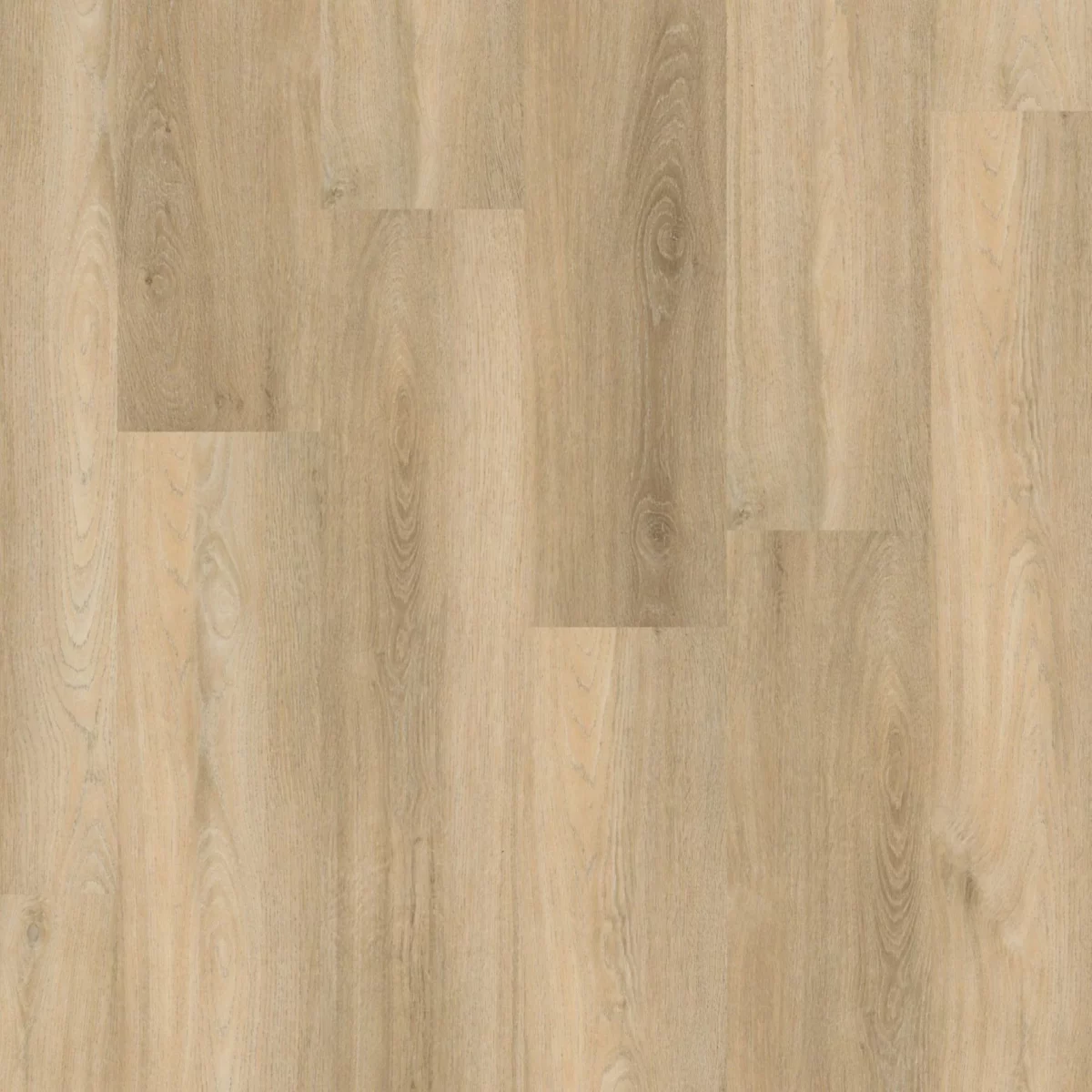 Avanto click SRC beige