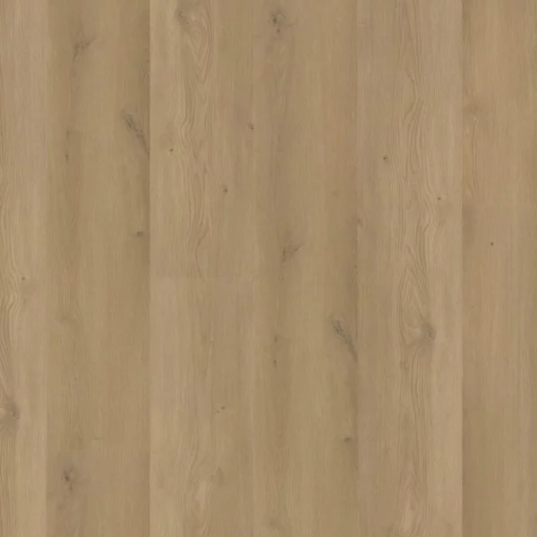 Espero click SRC warm oak