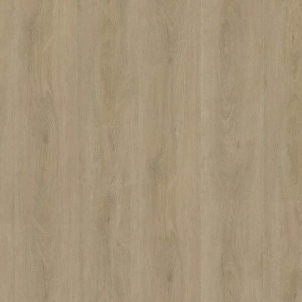Robusto click SRC beige