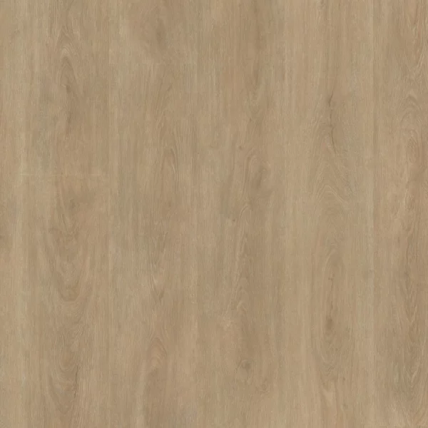 Robusto click SRC naturel