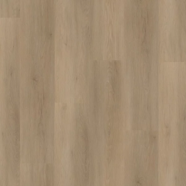 Sentima click natural oak