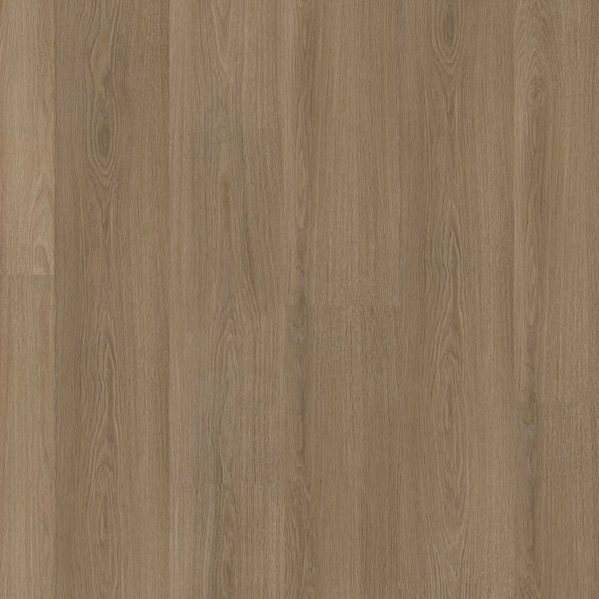 Soleno click SRC dark oak
