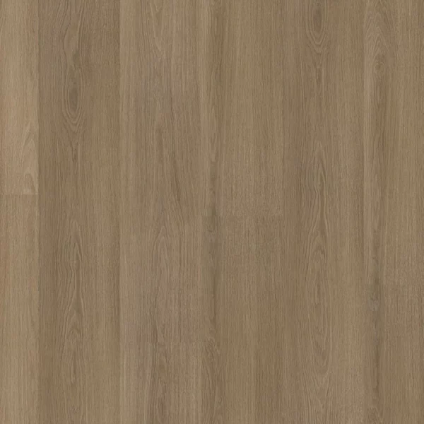 Soleno click SRC dark oak