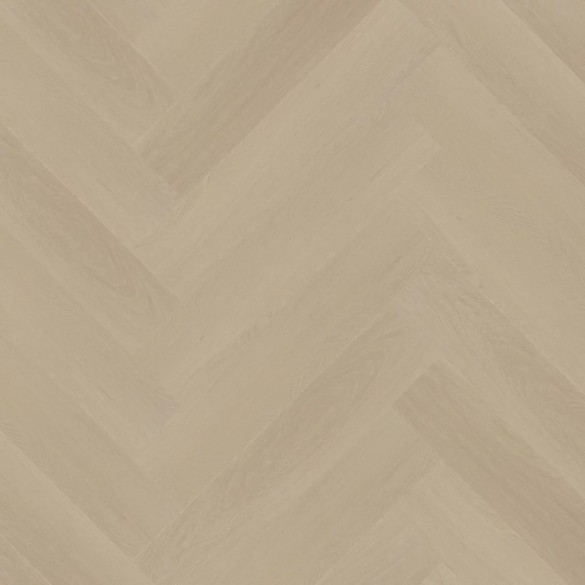 Spigato Estino visgraat click SRC beige