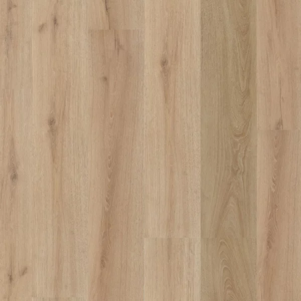 Valento click SRC light brown