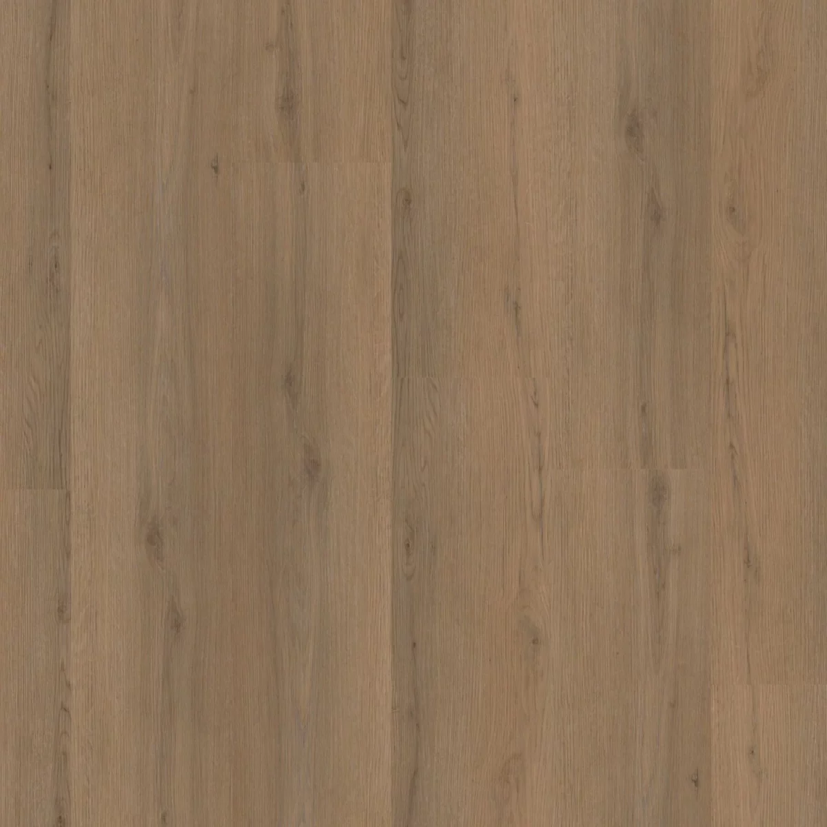 Venera click dark oak